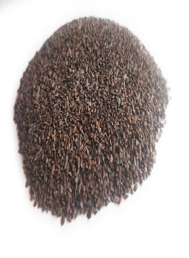 Ayushiv TALMAKHANA SEEDS (Asteracantha Longifolia) - KOKILAKSHA BEEJ - TAAL MAKHANA BEEJ (50) - Image 2